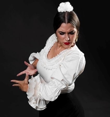Εικόνα για την κατηγορία Flamenco